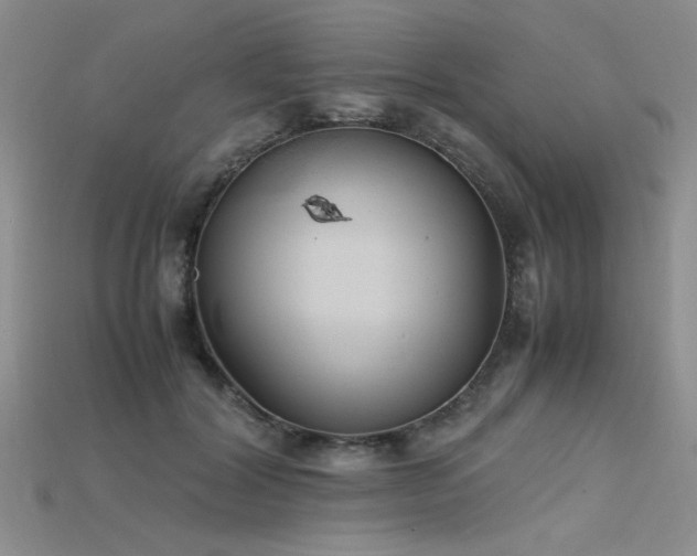 X0000115740604200911121539