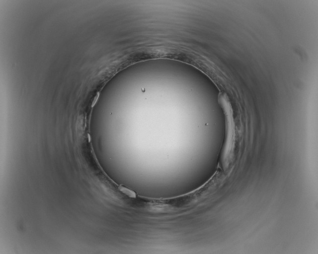 X0000115740605200911121539