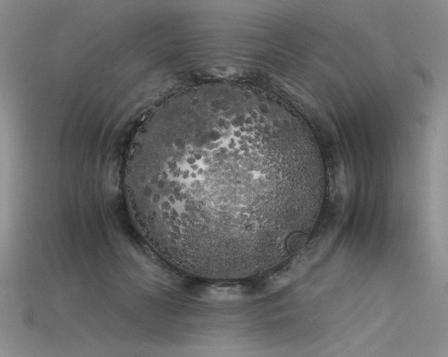 X0000115740606200911121539