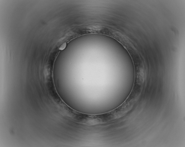 X0000115740608200911121539