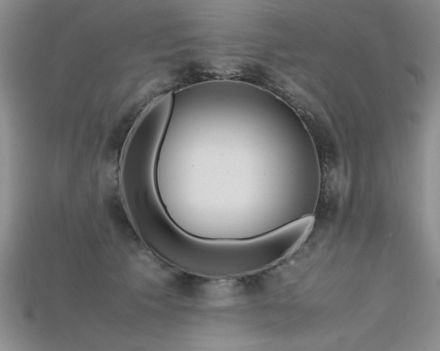 X0000115740609200911121539