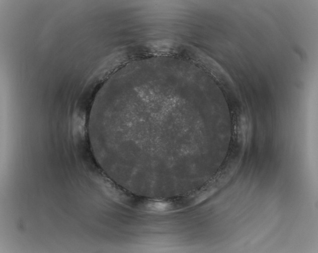 X0000115740610200911121539