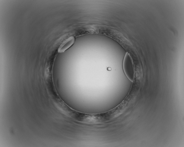 X0000115740611200911121539