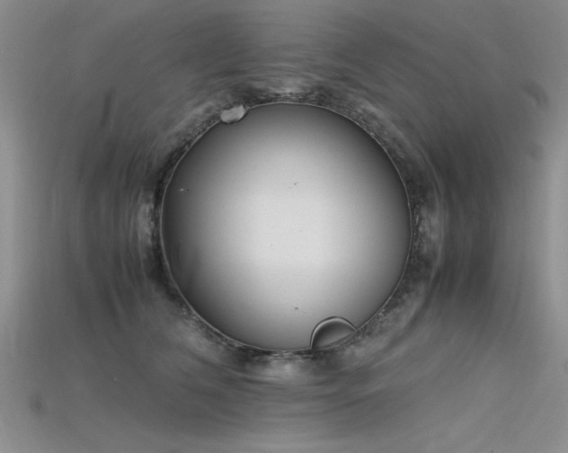X0000115740612200911121539