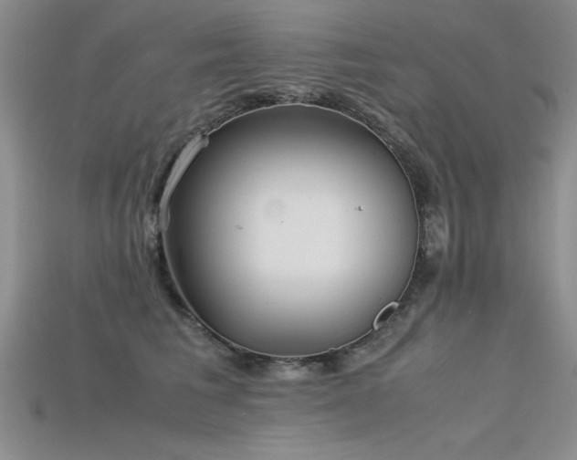 X0000115740613200911121539