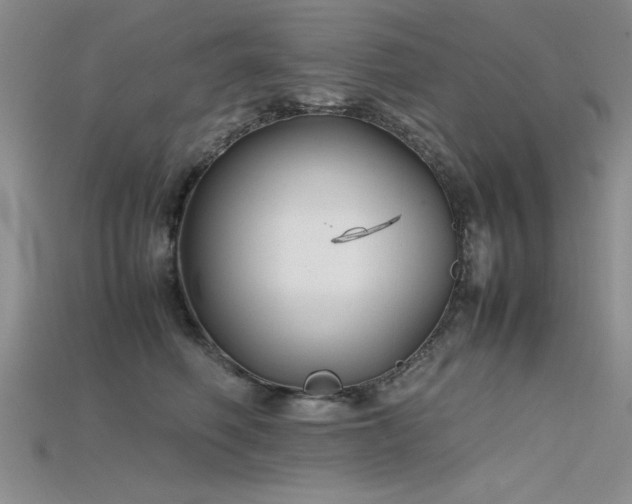 X0000115740614200911121539