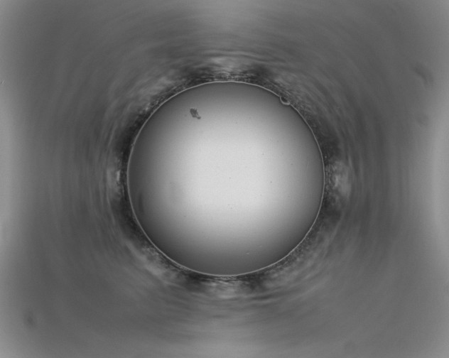 X0000115740615200911121538