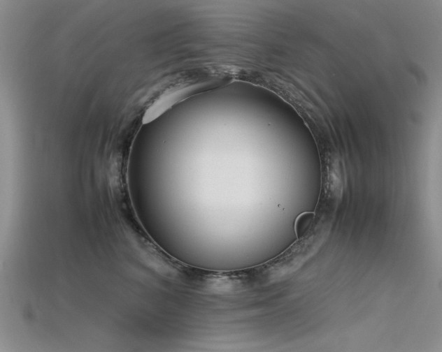 X0000115740616200911121538