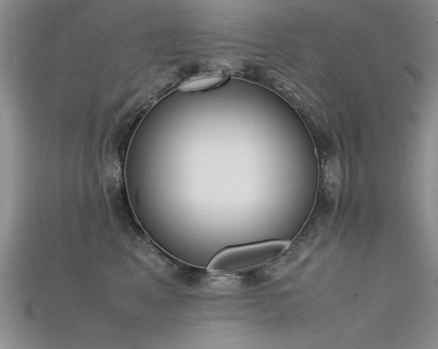 X0000115740617200911121538