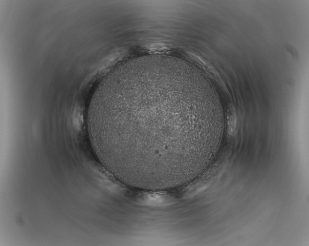 X0000115740618200911121538