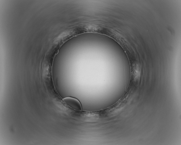 X0000115740619200911121538