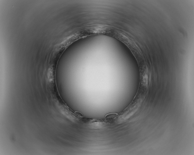 X0000115740620200911121538