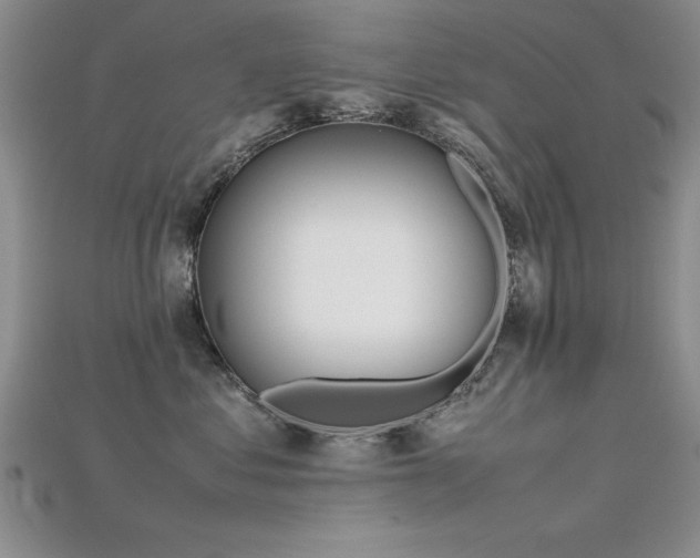 X0000115740621200911121538