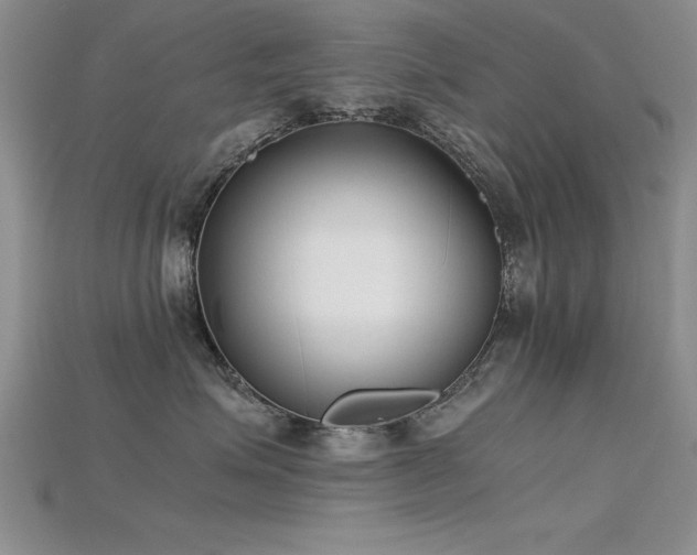 X0000115740623200911121538