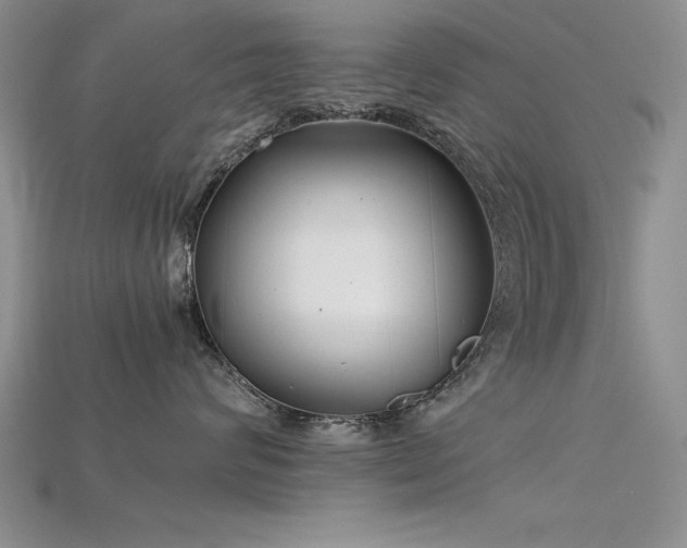 X0000115740624200911121538