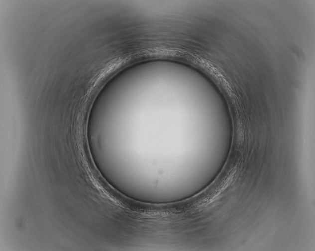 X0000115740625200911121538