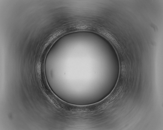 X0000115740626200911121538