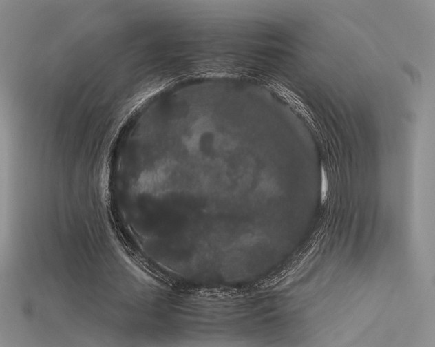 X0000115740627200911121538