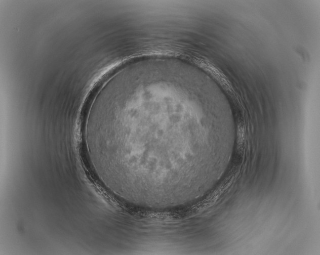 X0000115740628200911121538