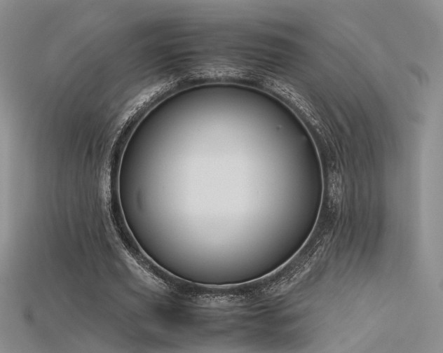 X0000115740629200911121538