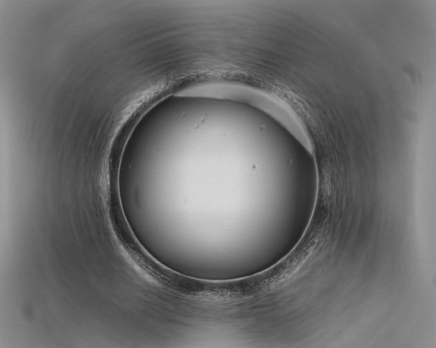 X0000115740630200911121538