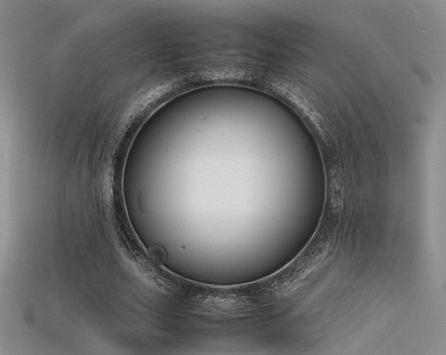 X0000115740631200911121538