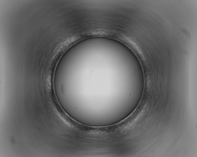 X0000115740633200911121538