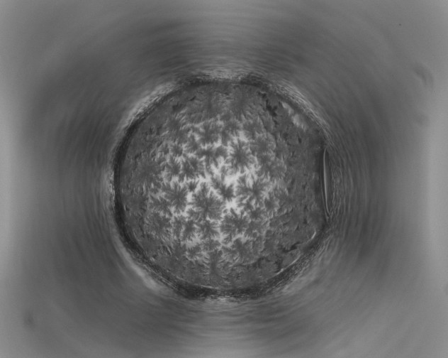X0000115740634200911121538