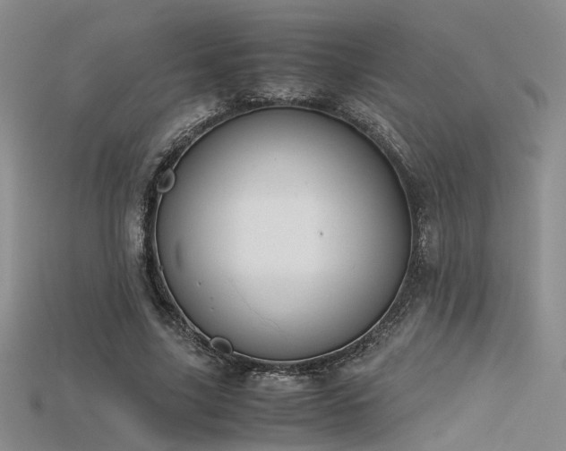 X0000115740635200911121538