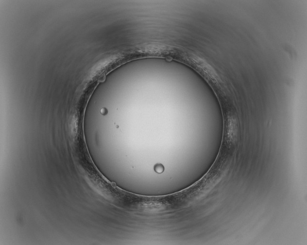 X0000115740636200911121538
