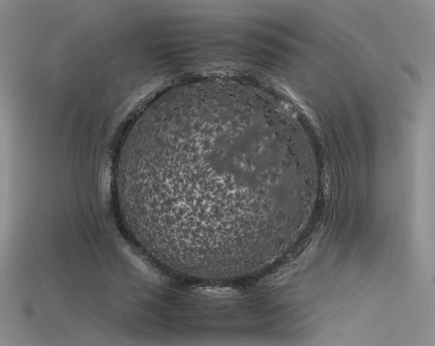 X0000115740637200911121538