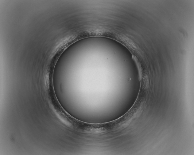 X0000115740638200911121538