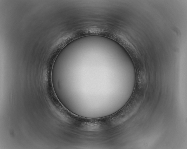 X0000115740639200911121538