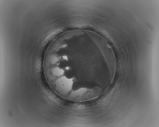 X0000115740640200911121538