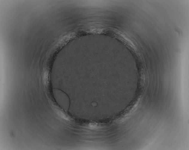 X0000115740641200911121538