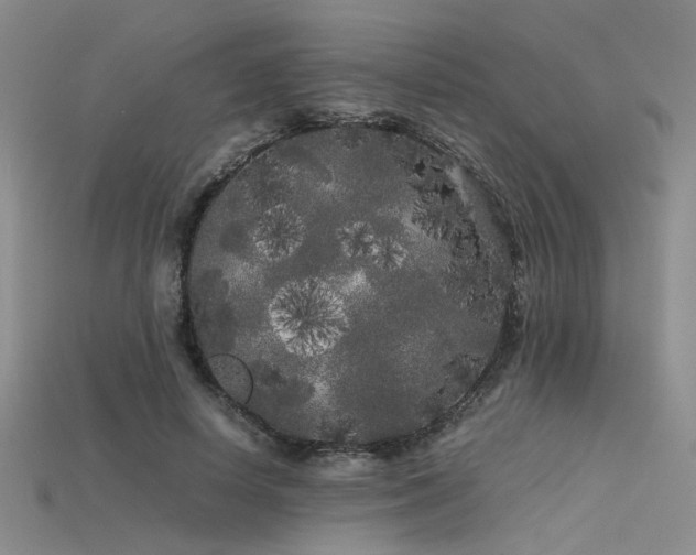 X0000115740642200911121538