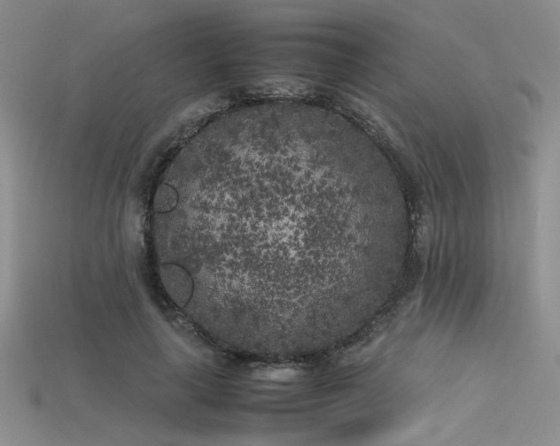 X0000115740643200911121538