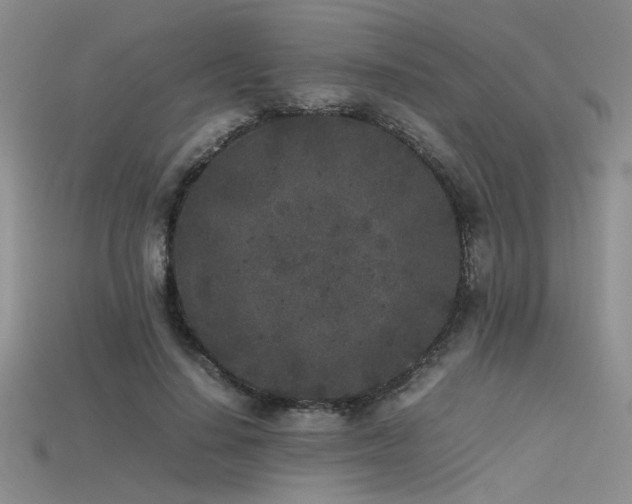 X0000115740644200911121538