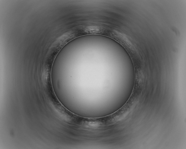 X0000115740645200911121538