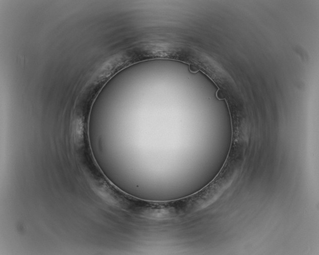 X0000115740646200911121538