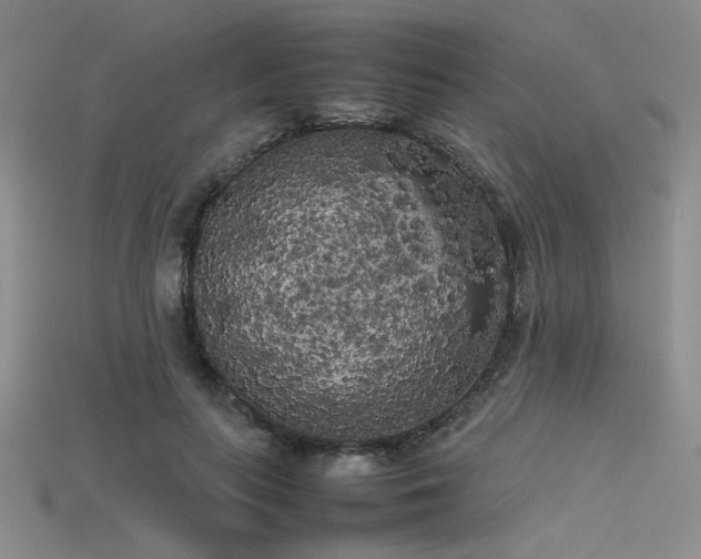 X0000115740647200911121538