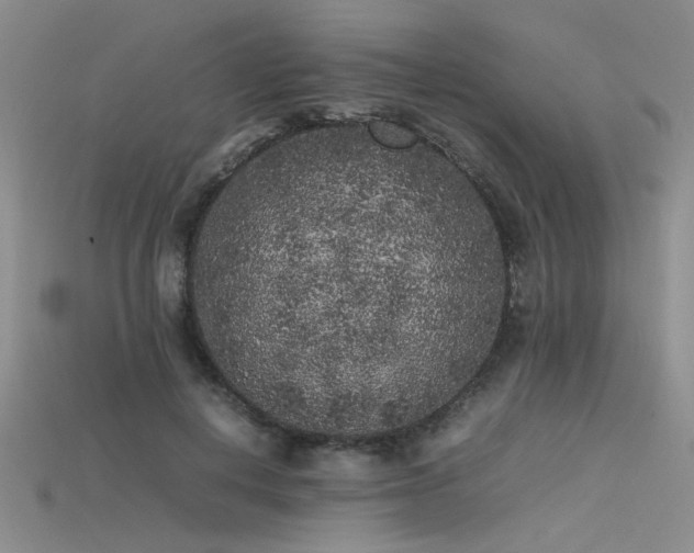 X0000115740648200911121538