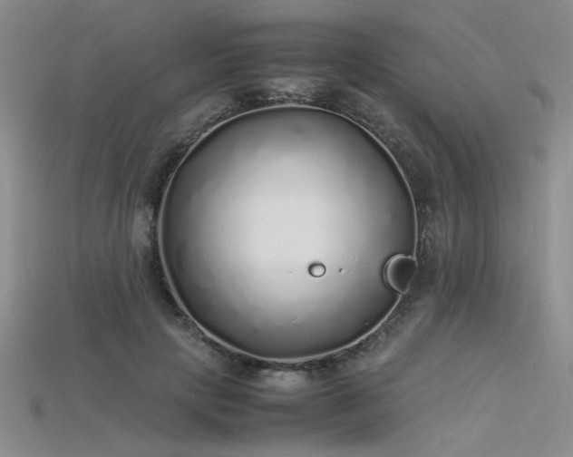 X0000115740649200911121538