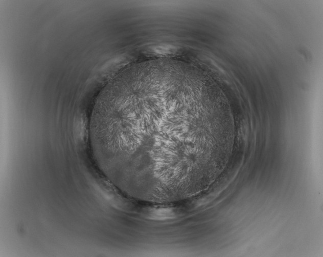 X0000115740651200911121538