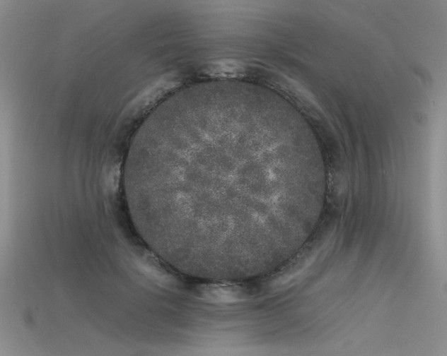 X0000115740652200911121538