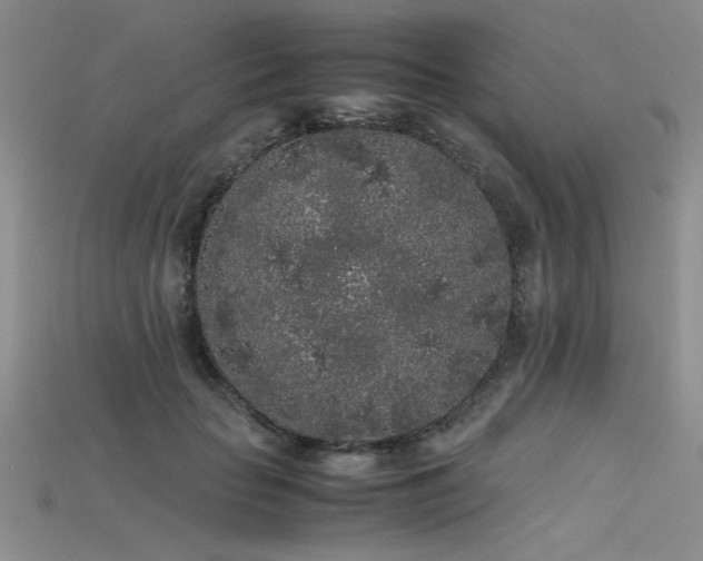 X0000115740653200911121538