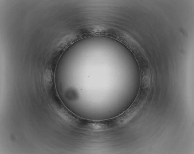 X0000115740654200911121538