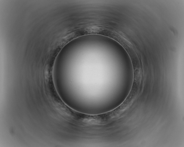 X0000115740655200911121538
