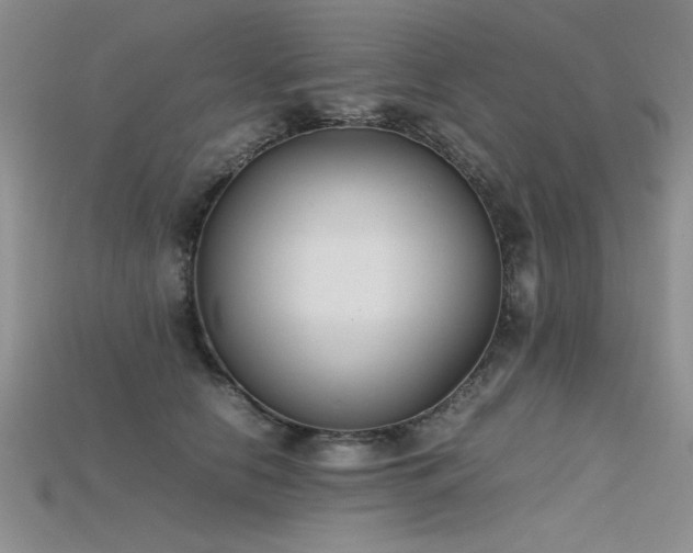 X0000115740658200911121538
