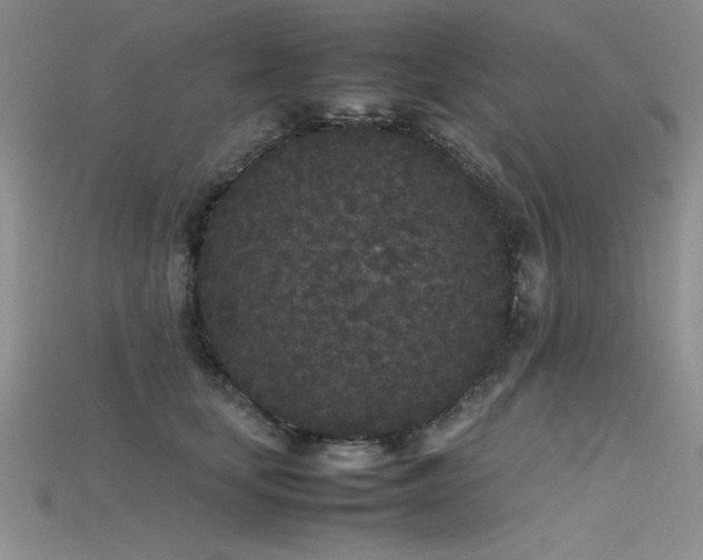 X0000115740659200911121538